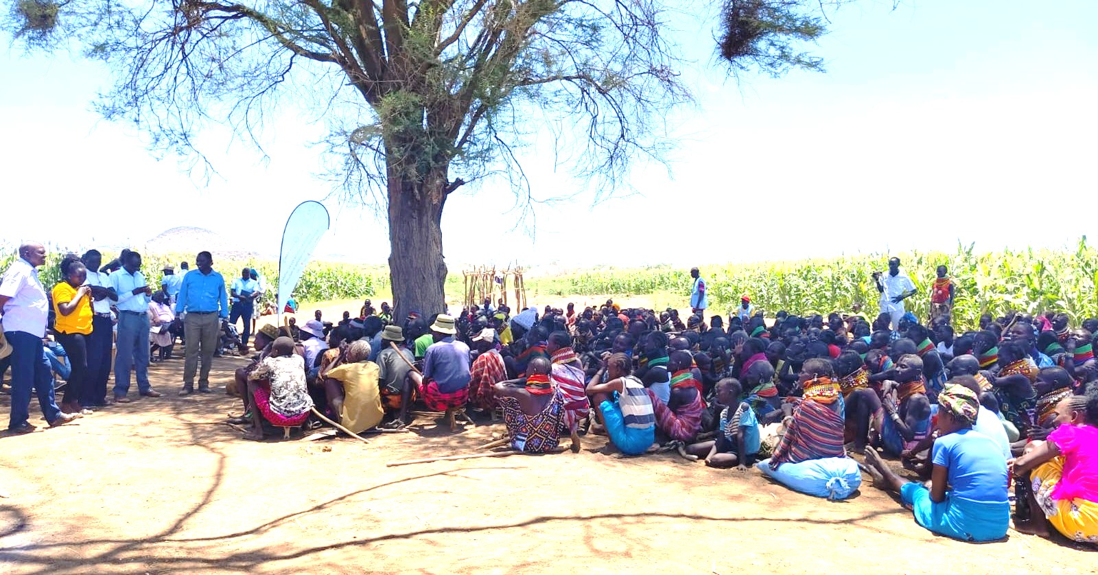 At least 760 acres reclaimed for agriculture from the colonisation of the Prosopis Juliflora and Prosopis chilensis