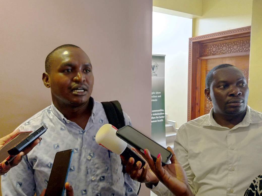 Donkey skin business still on despite a ban by the government