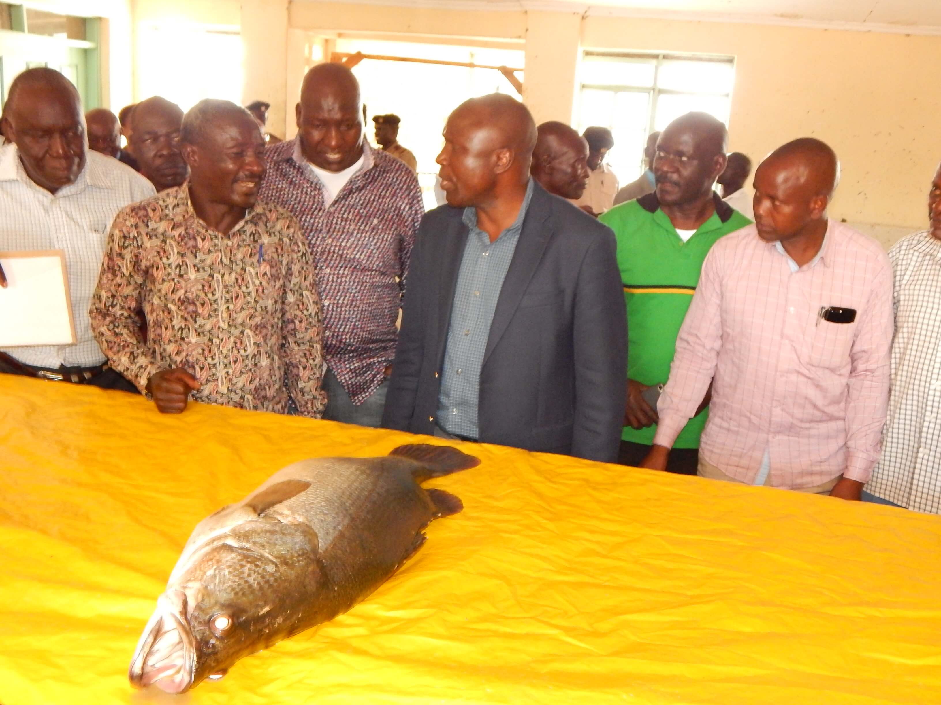 Lack of storage facilities hurt fishing business in Migori County
