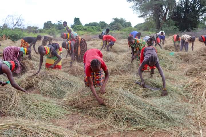 Farmers make a living through pasture production