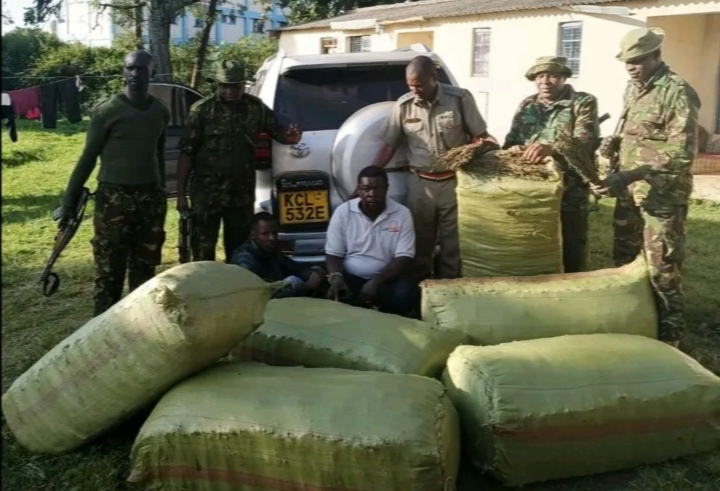 Suspects trafficking 300kg of Marijuana intercepted