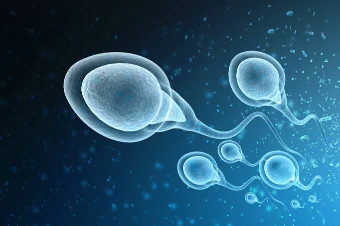 How Male infertility prevalence is gradually unfolding into a global crisis