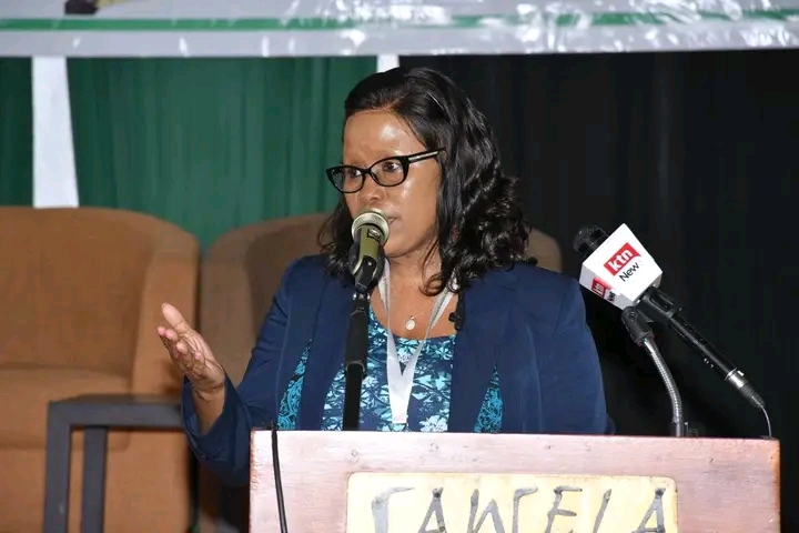 Hansard Reporters seek to harness Artificial Intelligence to enhance efficiency