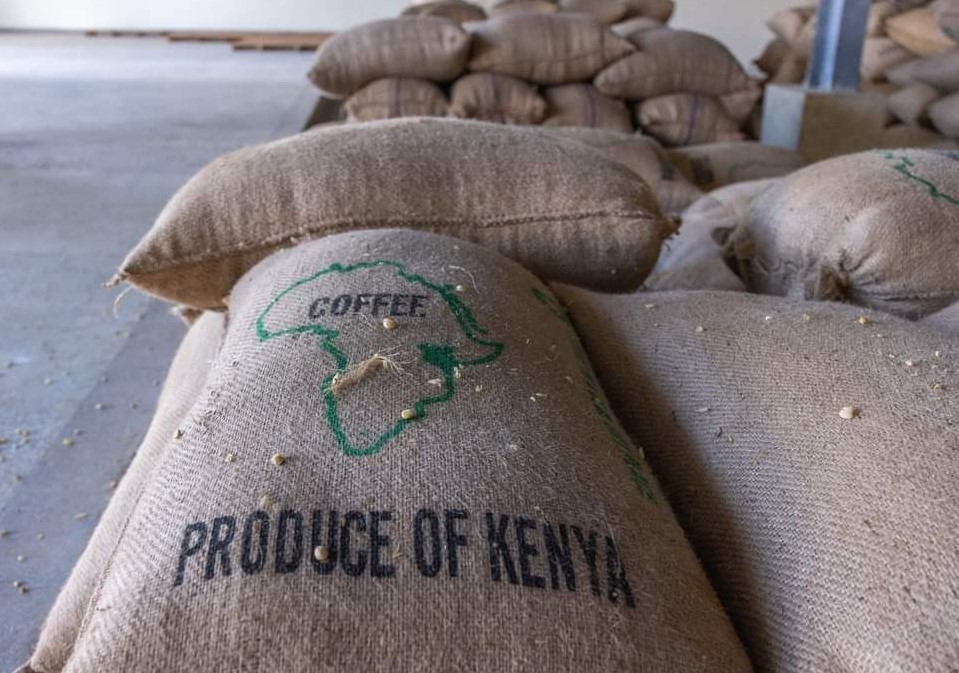 Farmers make windfall as coffee registers impressive prices at auction