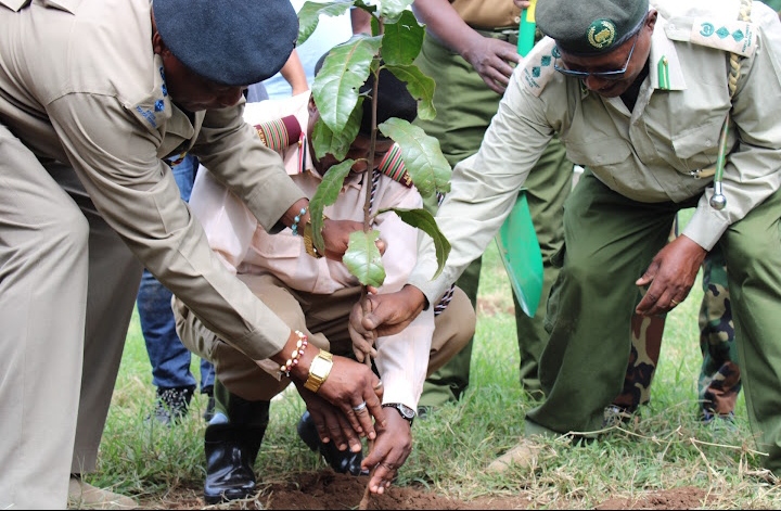 Kajiado officials exploit rains to plant trees