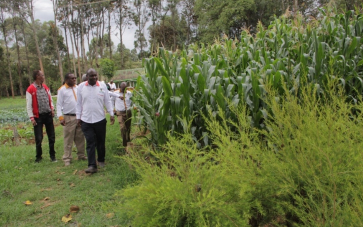 Farmers want more extension officers employed to boost agricultural production
