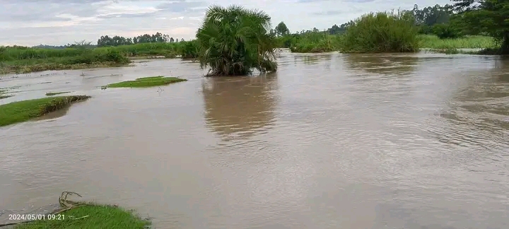 More than 10,000 learners affected by floods in Busia