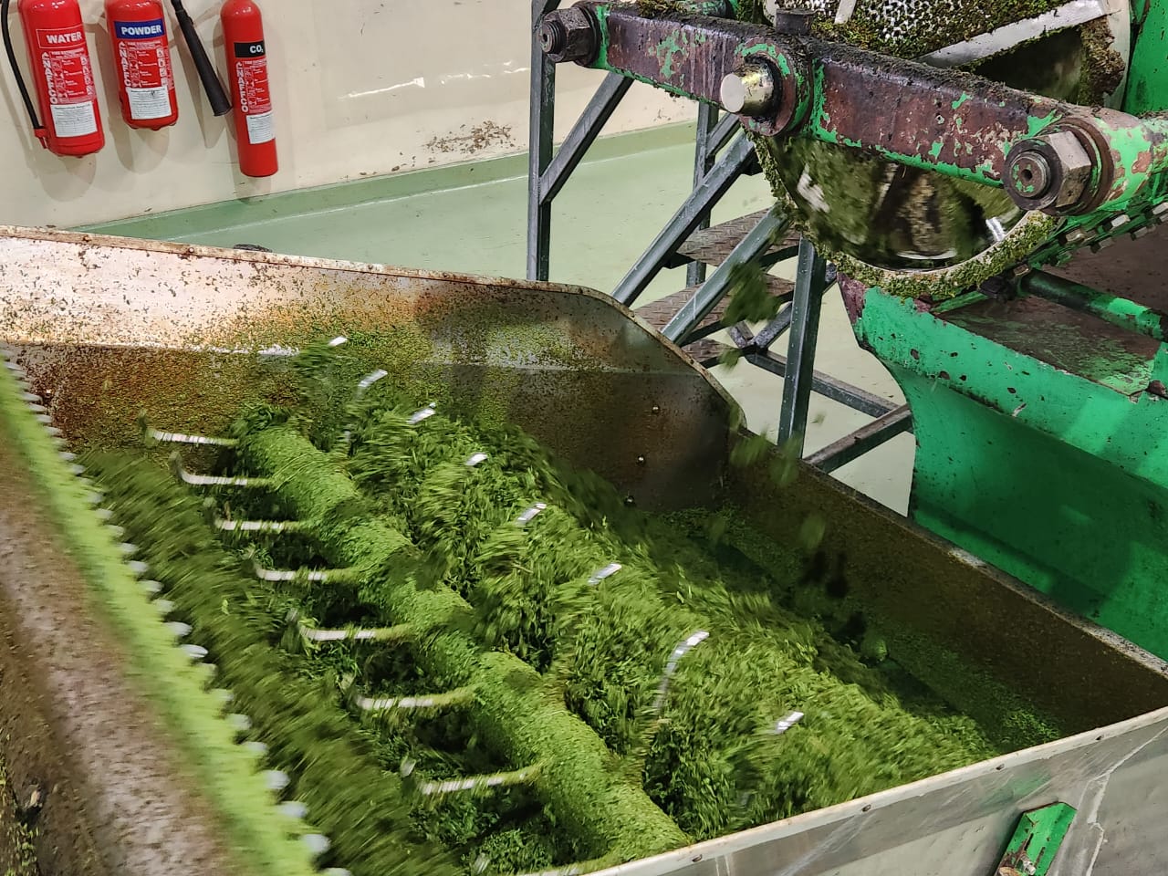 Kenyan tea secures lucrative market abroad