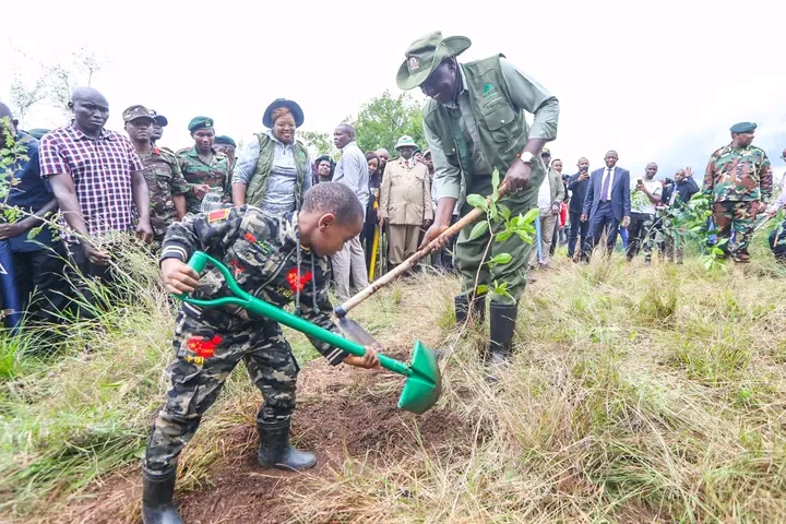 Planting of trees will avert the climate crisis – President William Ruto