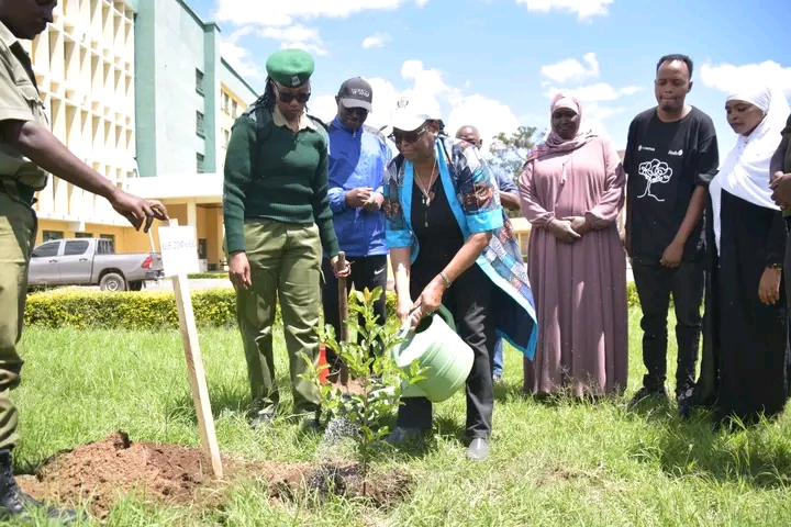 Petty offenders to face green justice sentencing