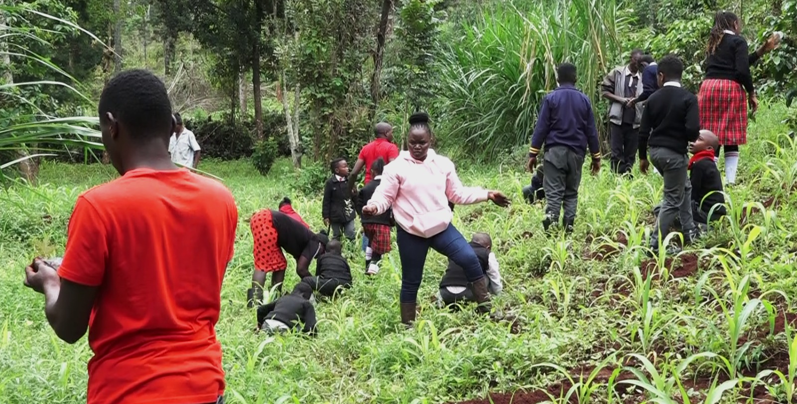 Embu School Community Take Part in National Tree Growing Day