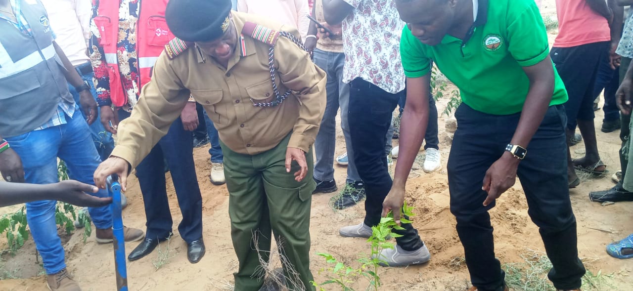 Residents urged to plant and nurture trees to address climate change