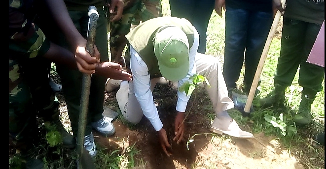 Vihiga County has so far planted 860,000 trees this year