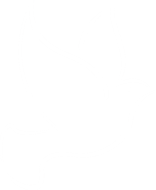 logo1-3